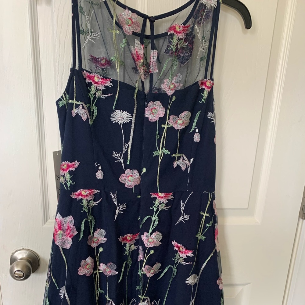 Beautiful Eliza J Mesh Embroidered Dress Sz 10